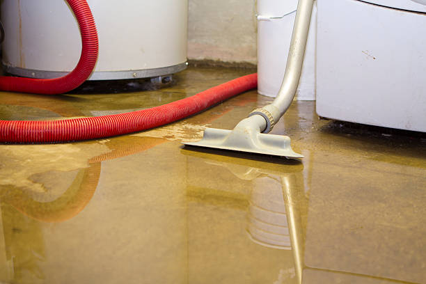 Best Water damage restoration near me  in Marion, NC