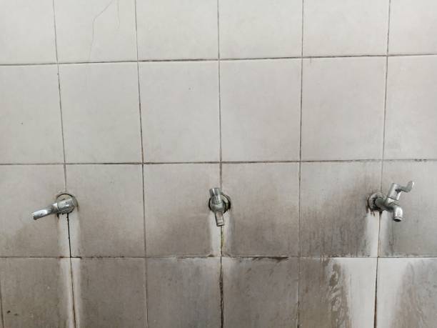 Best Water damage contractors near me  in Marion, NC