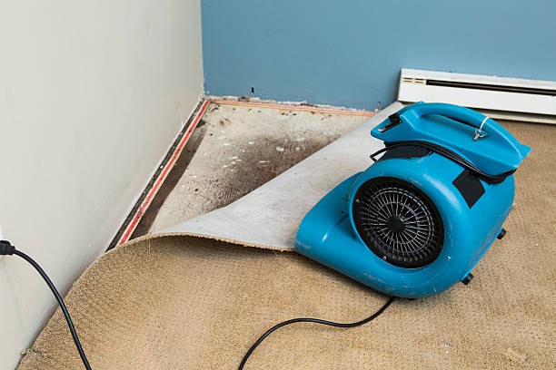 Best Water damage contractors near me  in Marion, NC
